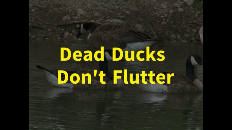 Dead Ducks, Don't Flutter | Crossmap
