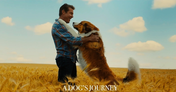 A Dog’s Journey — Wonderful Christian Movie!