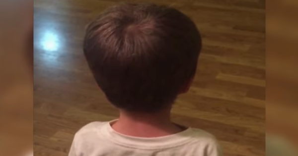 Boy Got A Hold Of Electric Clippers, When He Turns Around, The Result Let the Dad Breathless!