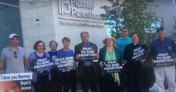 40 Days For Life Prayers Help Save 738 Unborn Babies From Abortion