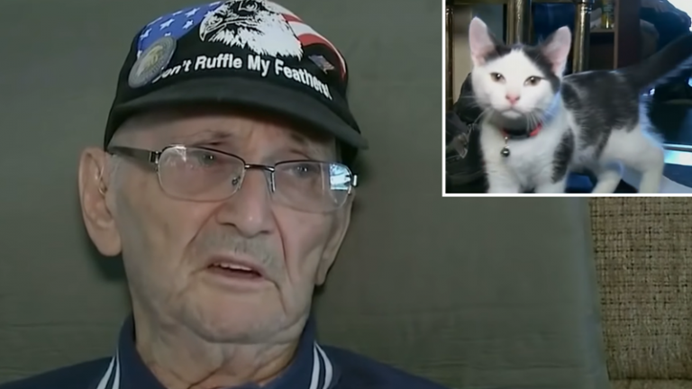 84-Year-Old Army Veteran Saved by His Cat After Serious Fall