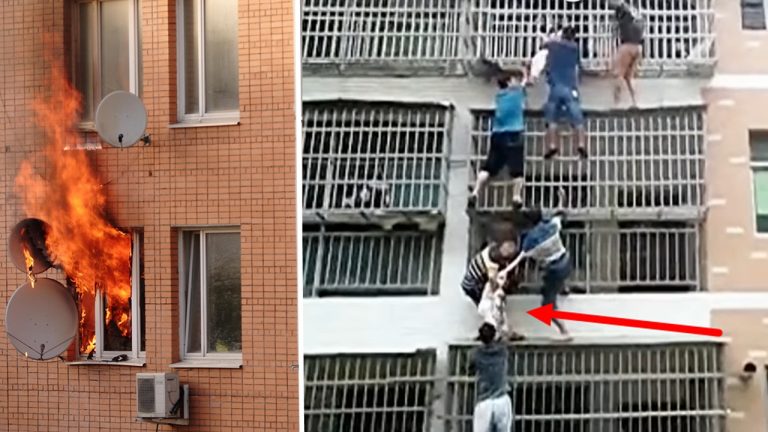 6 People Formed A Human Ladder To Rescue Girls From Burning Apartment