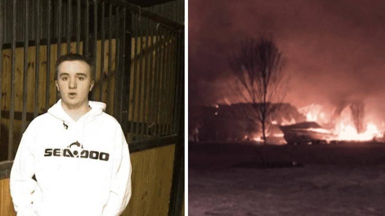 Quick-Thinking Teen Risks His Life to Rescue 14 Clydesdale Horses from a Barn Fire