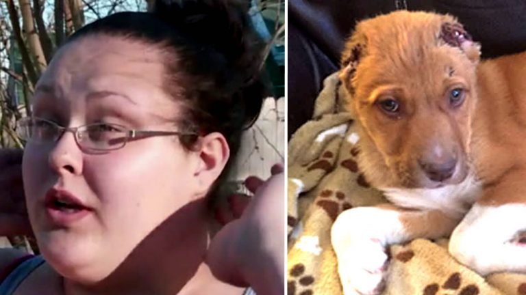 Couple Finds Puppy with No Ears Crying On Doorstep And There’s A $5K Reward To Find The Monster