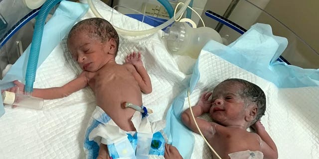 74-Year-Old Woman Delivers Healthy Twin Girls after IVF, Hospital Claims Medical Miracle