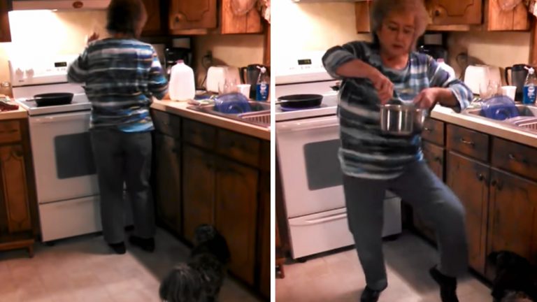 Grandma Is Cooking and Her Favorite Song Came on. Family Catches Her Hilarious Moves on Film That Goes Viral