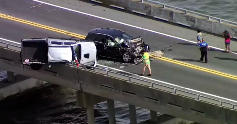 Hero Man Jumps 25 Feet off Bridge to Save Baby Girl Thrown from Car in Multi-Vehicle Crash