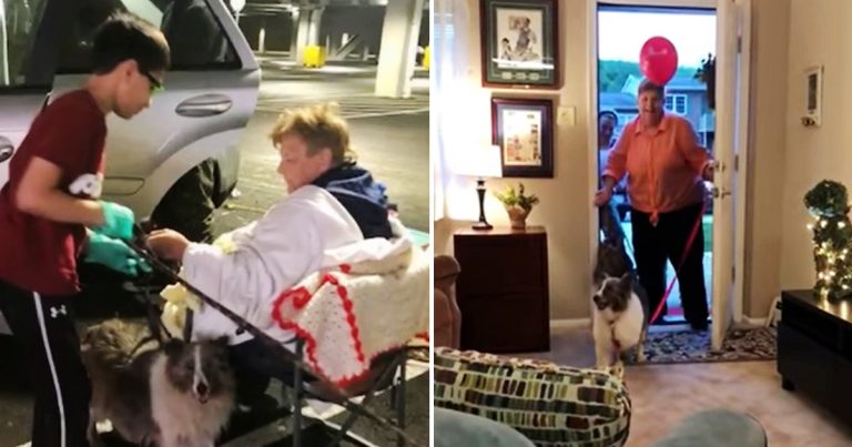 70-Year-Old Homeless Lives in SUV with Dogs Until Neighbors Band Together to Get Her An Apartment