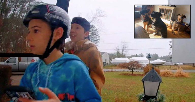 Heroic Middle Schoolers Save 3 Dogs from Fire at Neighbor’s House