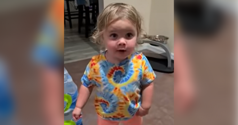 Little Girl Argues With Mom And Dad Even Though She’s Been Caught Red-Handed