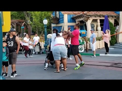 Disneyland Fight Breaks Out! What Would You Do?