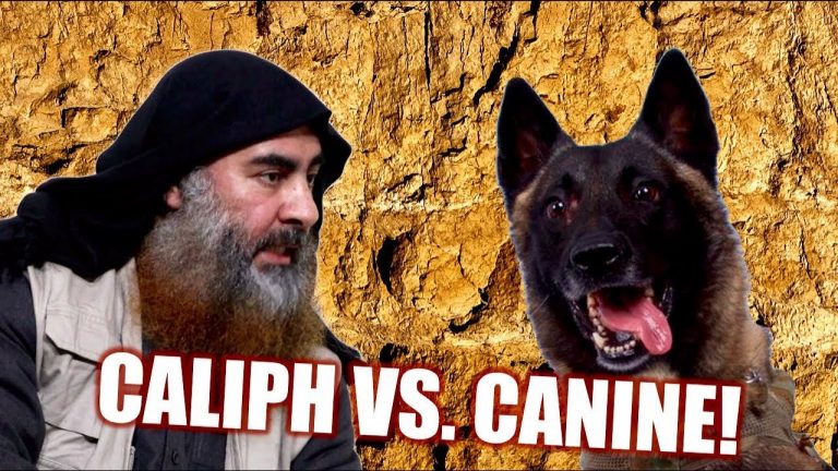 Why Allah Couldn’t Protect ISIS Leader Abu Bakr al-Baghdadi from a Dog in Syrian Raid (David Wood)