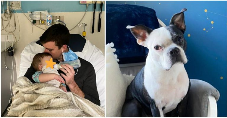 Heroic Dog Saves Baby Girl’s Life after She Stopped Breathing and ‘Turned Blue’ in The Middle of The Night