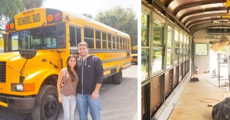 “From an Old Wreck To a Comfortable Home”: An American Couple Converted an Old Bus into a Motor Home!