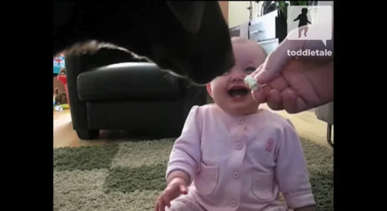 Adorable Baby Girl Laughs Hysterically at Dog Eating Popcorn – Try Not to Laugh!